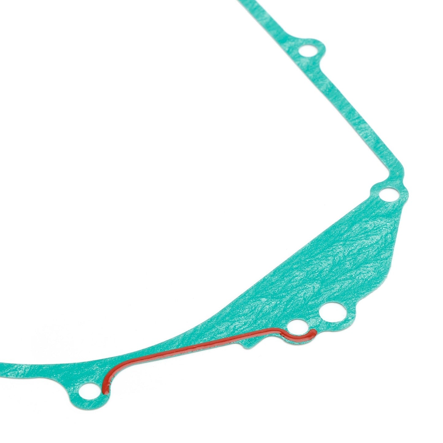 2002-13 Yamaha TDM 900 TDM900A RN08 RN11 RN18 Left Stator Cover Gasket