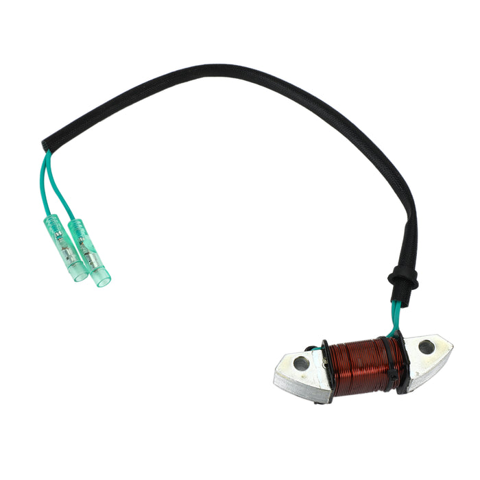 1993-2010/2012 Yamaha 30HP Lighting Coil Assy Outboard 61N-81313-09-00 Champoo