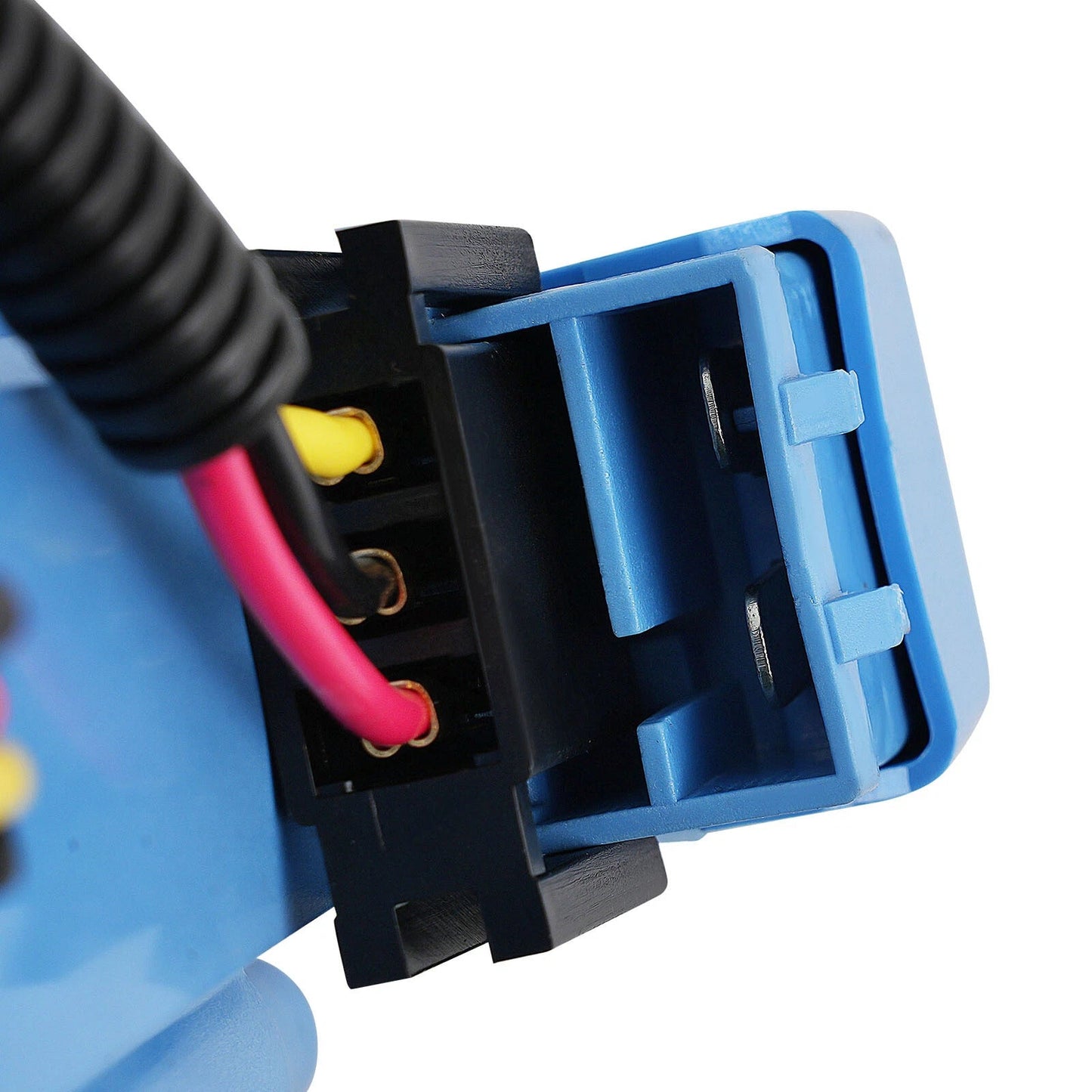 Distributeur d'allumage SBF Ford Small Block 260 289 302 à capuchon bleu avec bobine 65 000 tr/min 1030213