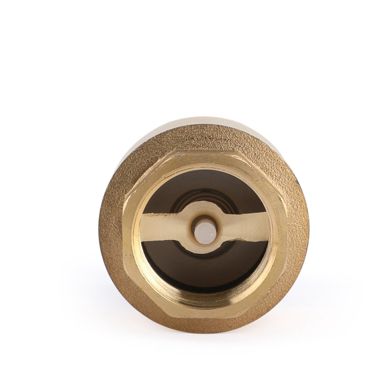 Válvula de retención de pie en línea NPT de 3/4" con resorte de latón y filtro, 200 PSI