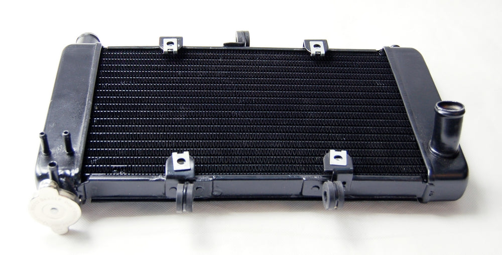 Grille de protection de radiateur pour Yamaha FZ6 2004-2010, noire