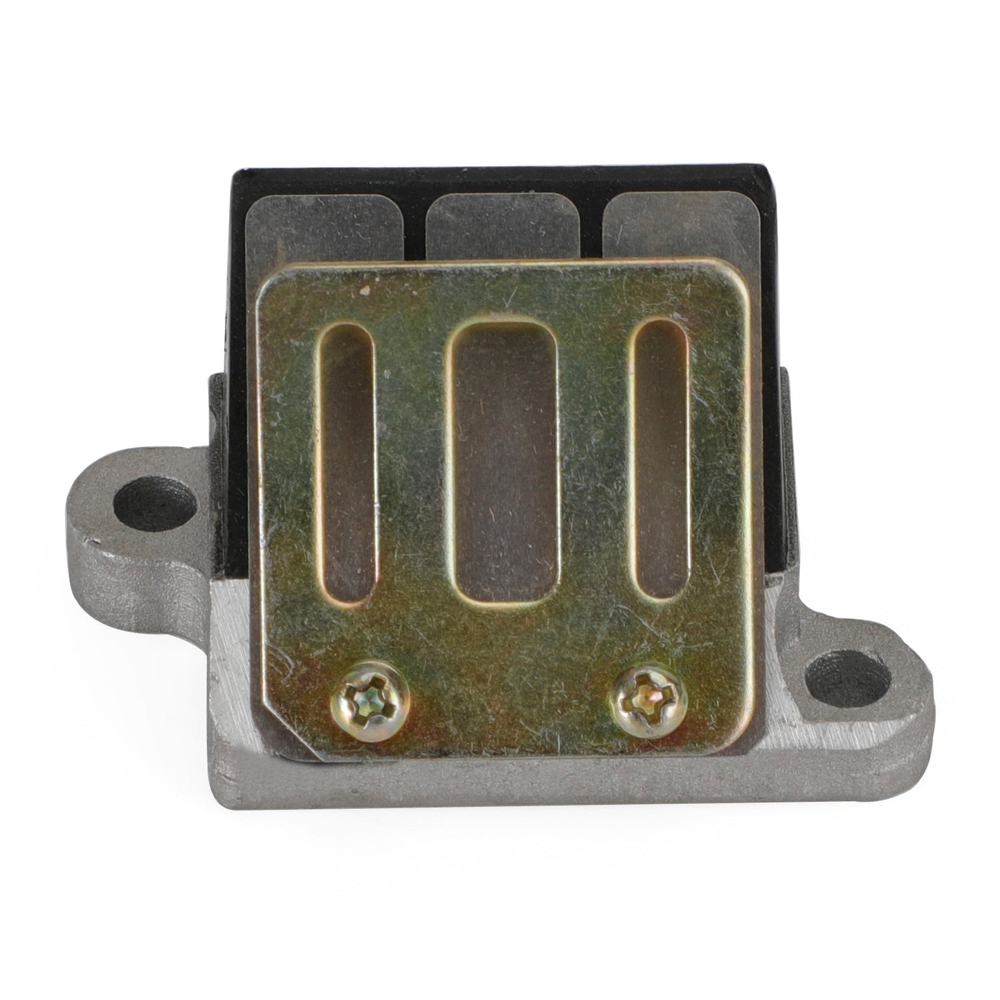 Válvula de láminas para motor Suzuki AG100 V100