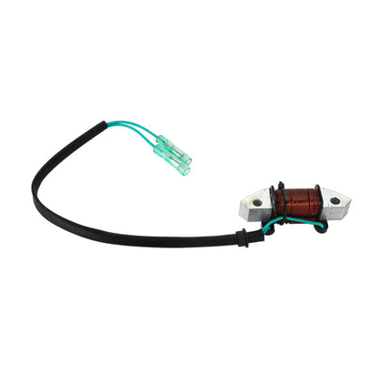 1993-2010/2012 Yamaha 30HP Lighting Coil Assy Outboard 61N-81313-09-00 Champoo