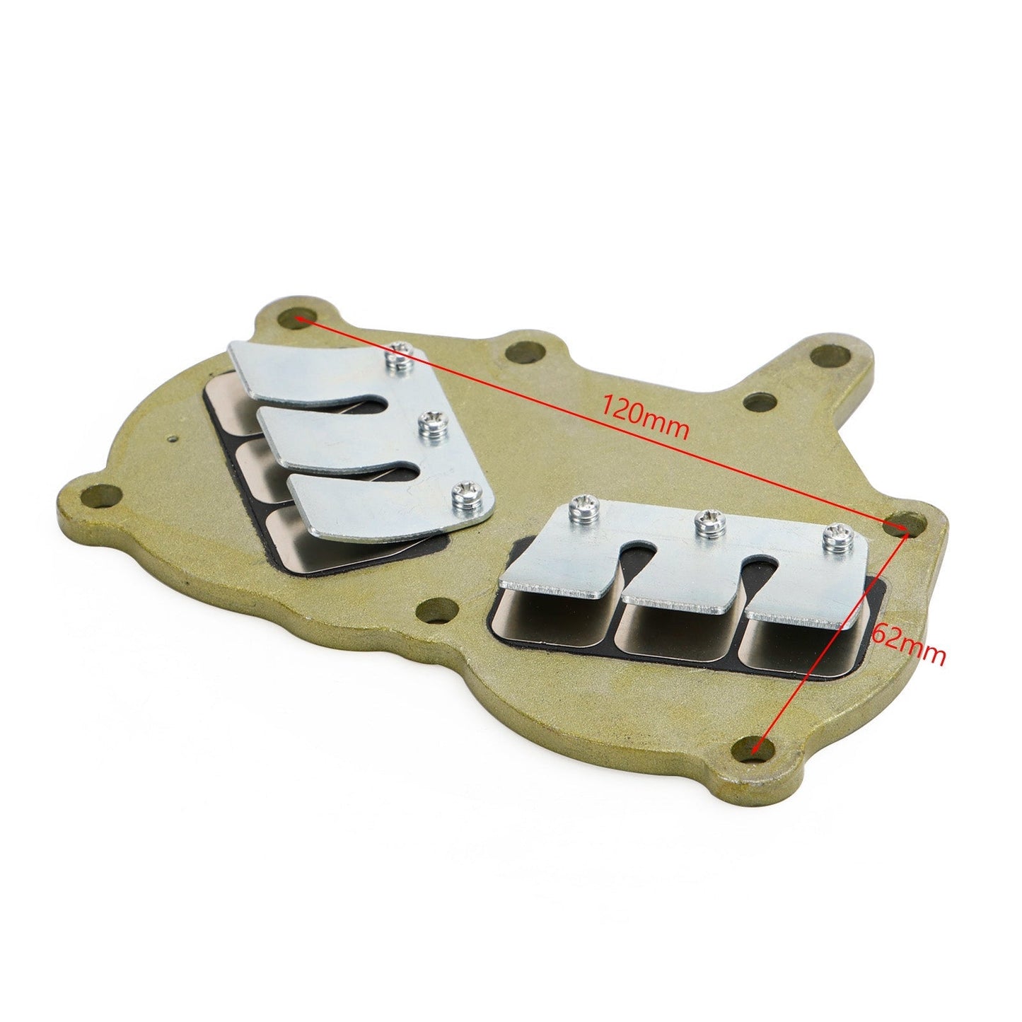 362-02100-1 Conjunto de válvula de láminas para motor fueraborda Tohatsu NS9.9 NS15 NS18 M9.9 M15 M18