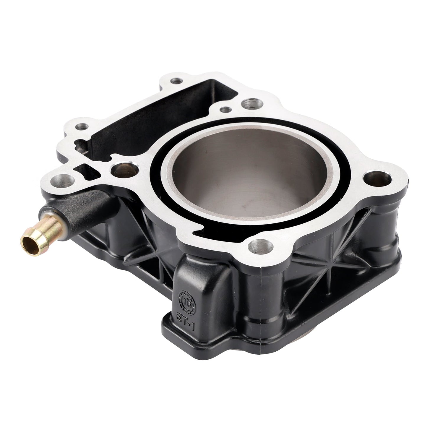 Bajaj Pulsar Ns200 As200 Rs200 Ns200 Fi As200 Fi 250cc DTSi Engines 77mm Cylinder Piston Gasket Top End Rebuild Kit