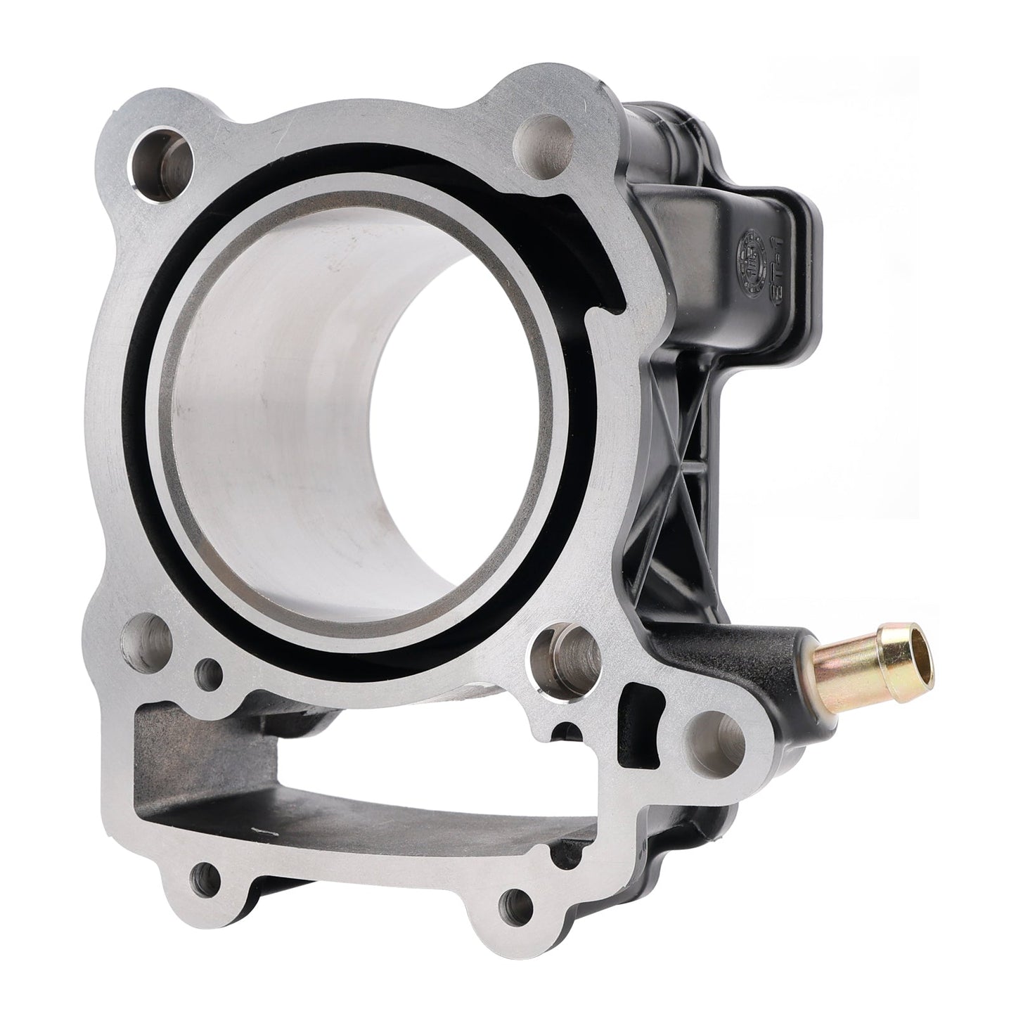 Bajaj Pulsar Ns200 As200 Rs200 Ns200 Fi As200 Fi 250cc DTSi Engines 77mm Cylinder Piston Gasket Top End Rebuild Kit