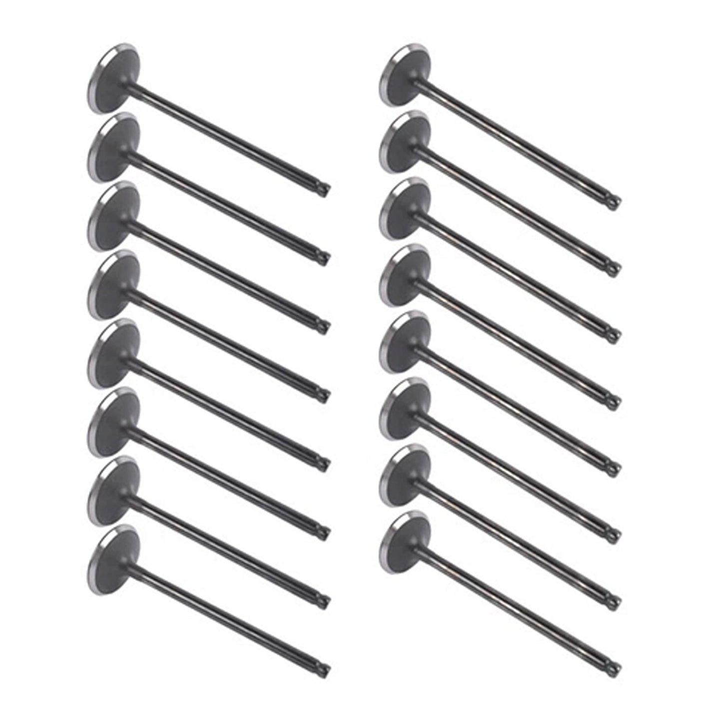 Kit de válvulas de admisión y escape de 16 piezas para Scion Toyota L4 1.8L DOHC 2ZR-FE 2008-2015