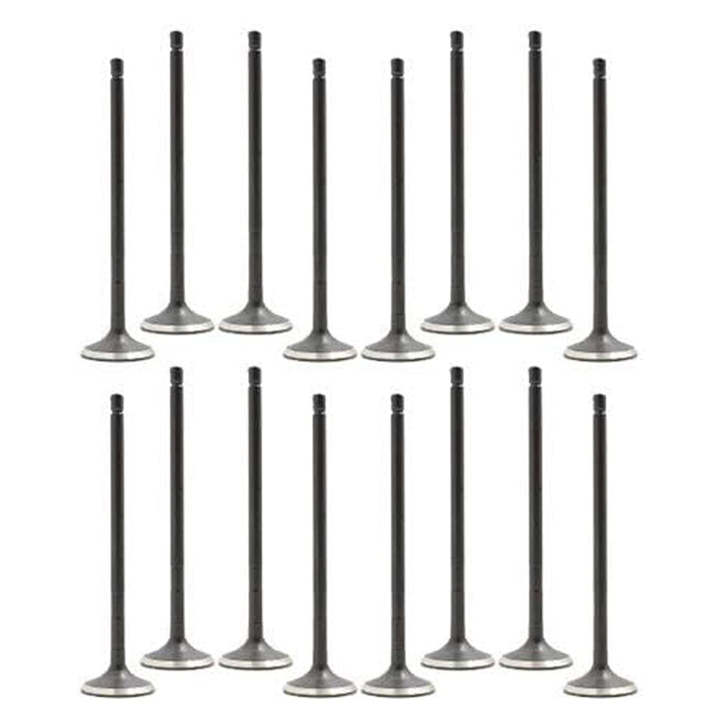 Kit de válvulas de admisión y escape de 16 piezas para Scion Toyota L4 1.8L DOHC 2ZR-FE 2008-2015