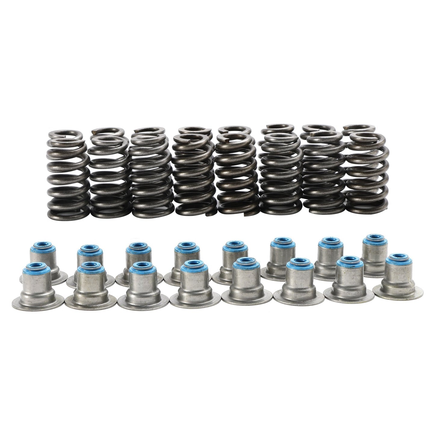 LS6 .550" Lift Beehive Valve Springs Kit w/ Valve Stem Seals 28-12713265-16 12713265