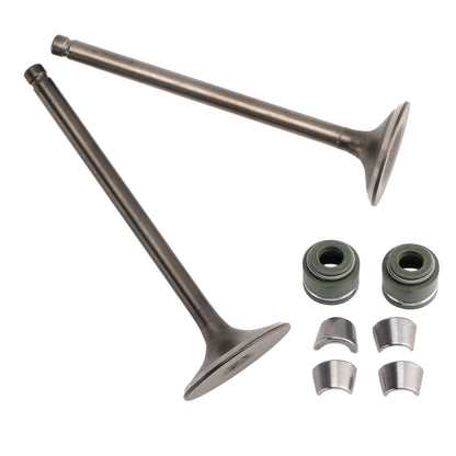 CLONE MOTORS CG 200cc ATV Quad Buggies Honda Intake Exhaust Valve Kit