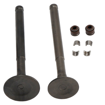 GY6 139QMB Moped 49cc 50cc Sunl Baja Taotao 64mm Intake Exhaust Valve Kit