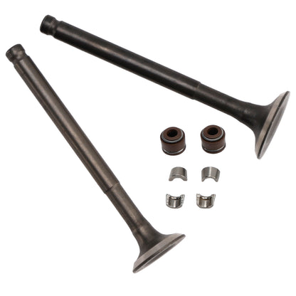 GY6 139QMB Moped 49cc 50cc Sunl Baja Taotao 64mm Intake Exhaust Valve Kit