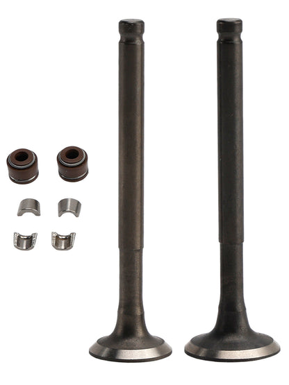 GY6 139QMB Moped 49cc 50cc Sunl Baja Taotao 64mm Intake Exhaust Valve Kit
