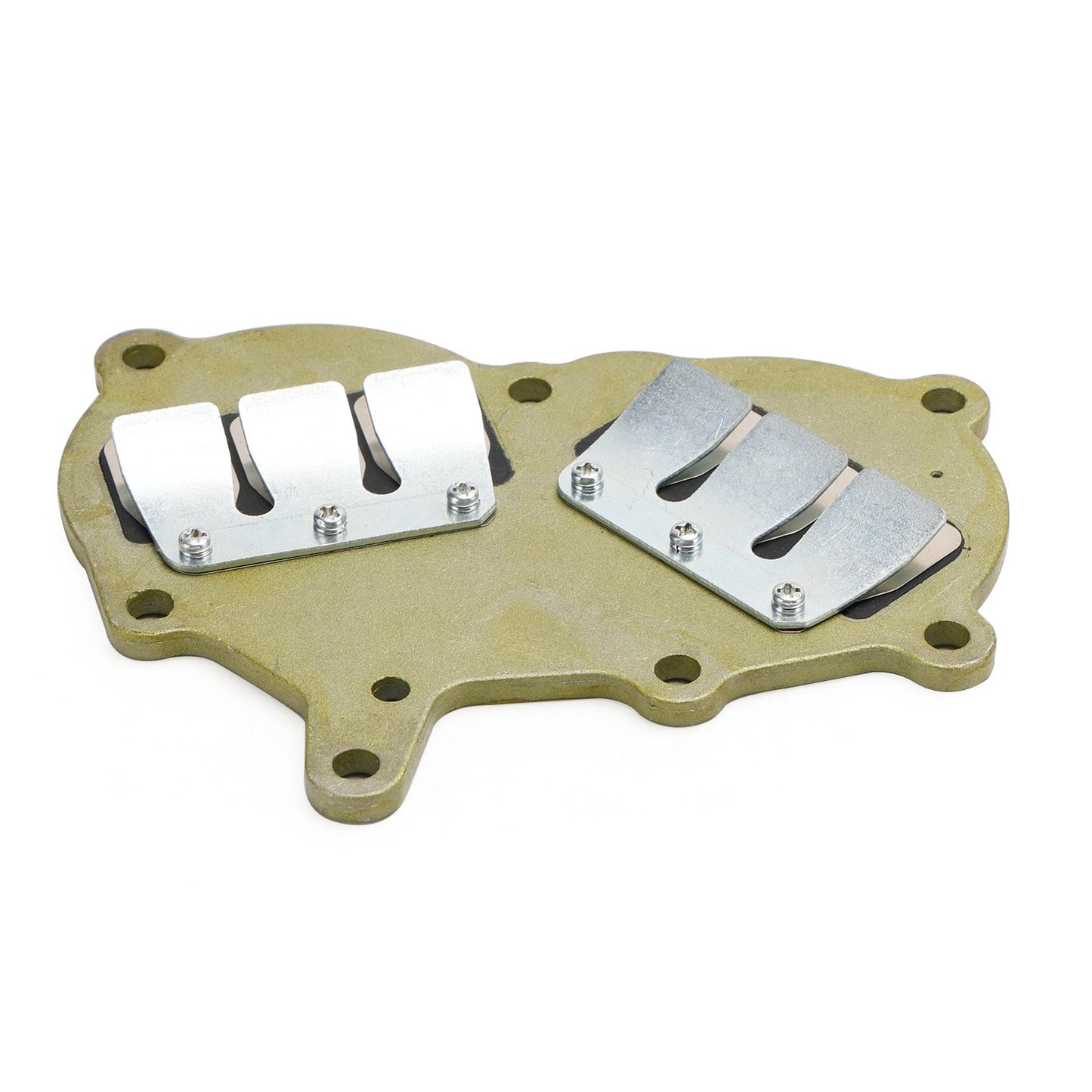 362-02100-1 Conjunto de válvula de láminas para motor fueraborda Tohatsu NS9.9 NS15 NS18 M9.9 M15 M18