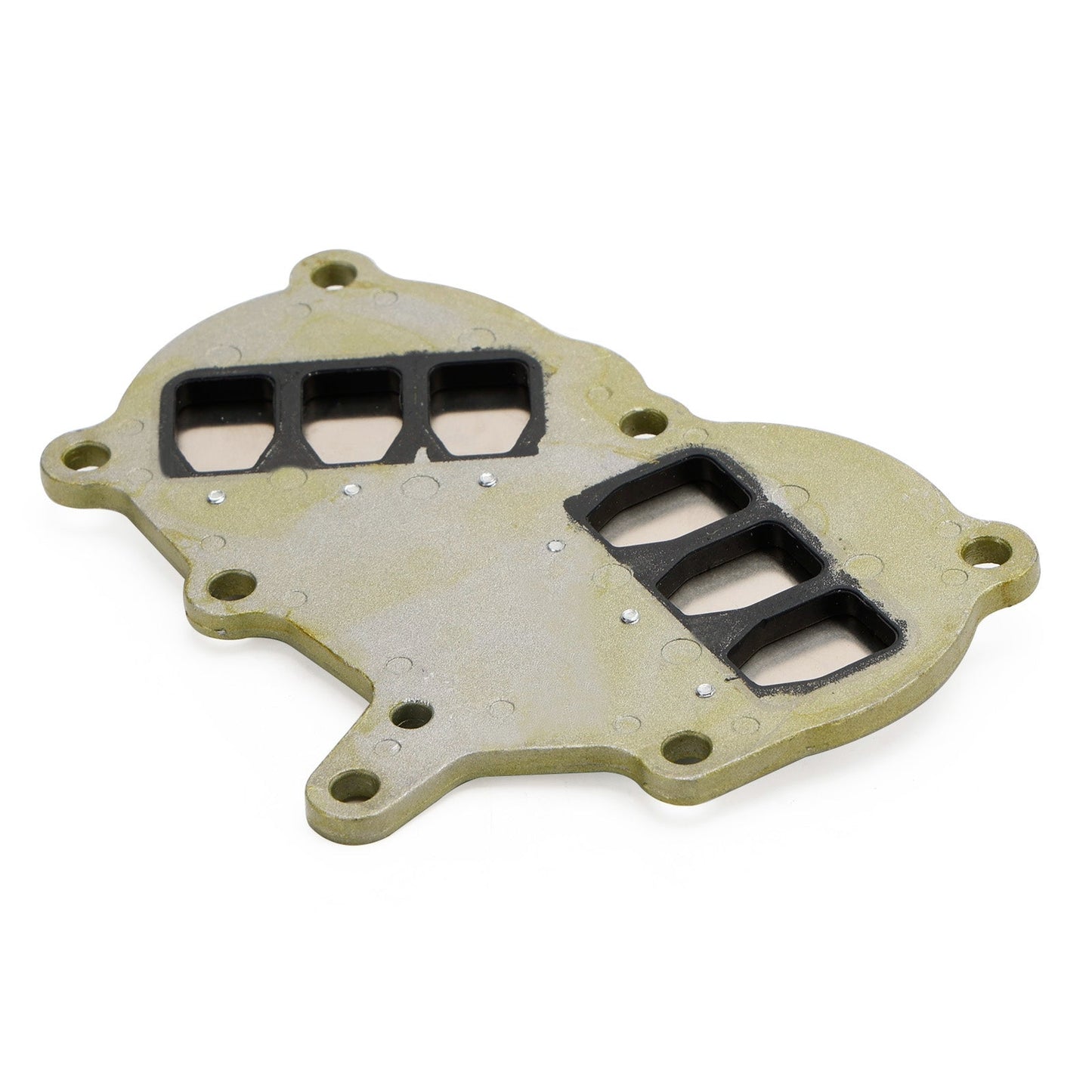 362-02100-1 Conjunto de válvula de láminas para motor fueraborda Tohatsu NS9.9 NS15 NS18 M9.9 M15 M18