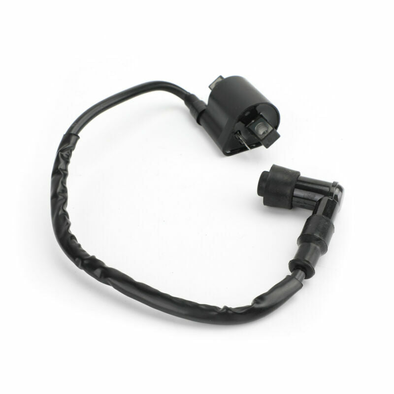 Bobina de 50 cc, 90 cc, 250 cc, 70 cc, china, para scooter, ATV, EE. UU., 150 cc, encendido Taotao, 125 cc