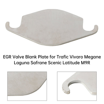 Trafic Vivaro Megane Laguna Safrane Scenic Latitude M9R  EGR Valve Blank Plate