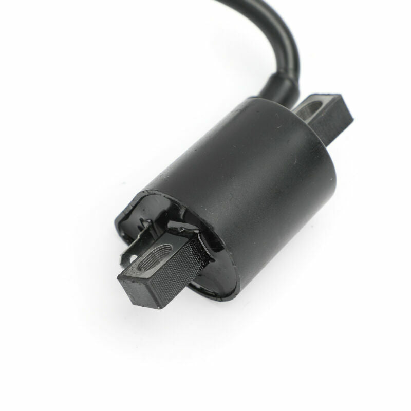 Bobina de 50 cc, 90 cc, 250 cc, 70 cc, china, para scooter, ATV, EE. UU., 150 cc, encendido Taotao, 125 cc