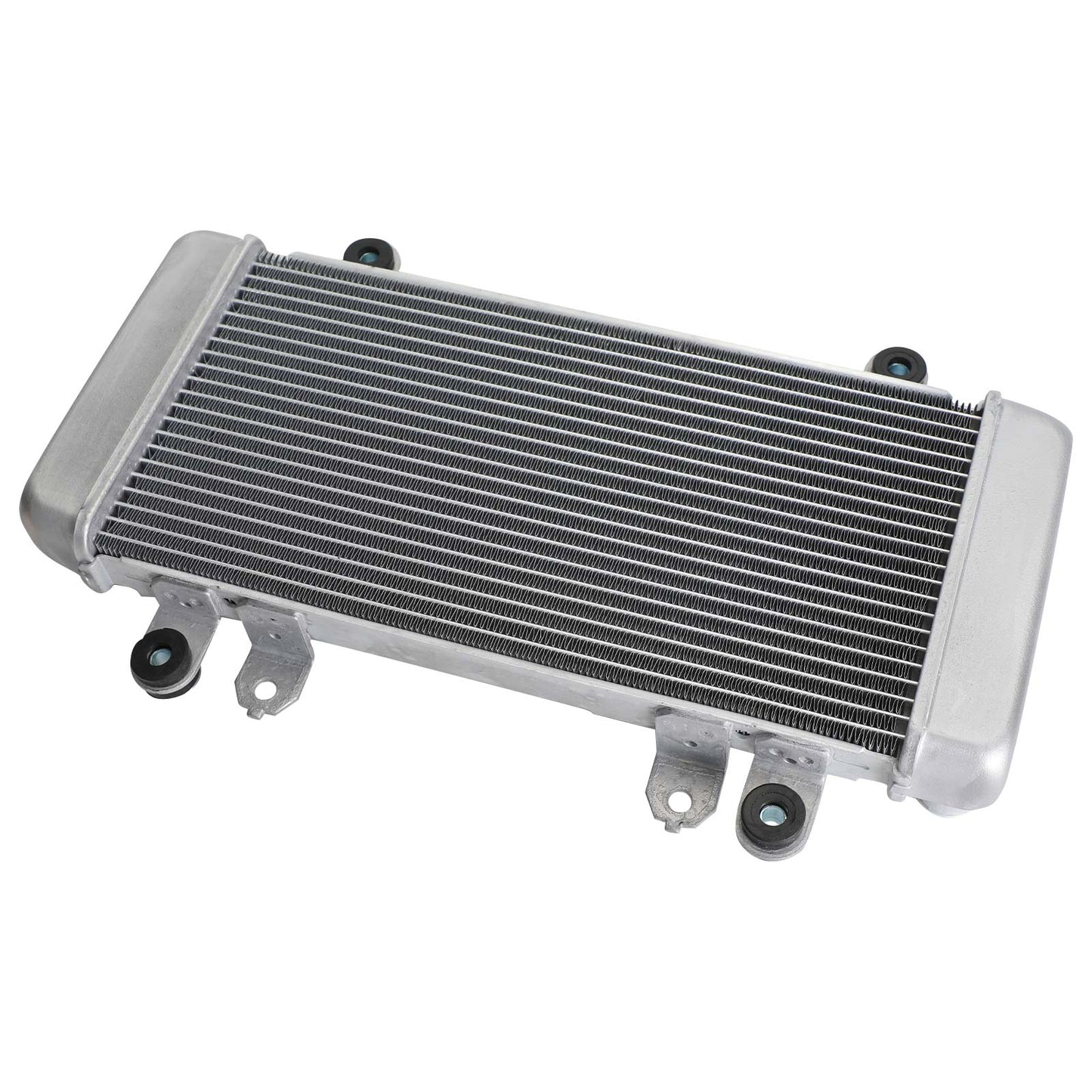 Protection de radiateur pour Kawasaki Ninja 300 EX300 EX 300 2013-2017