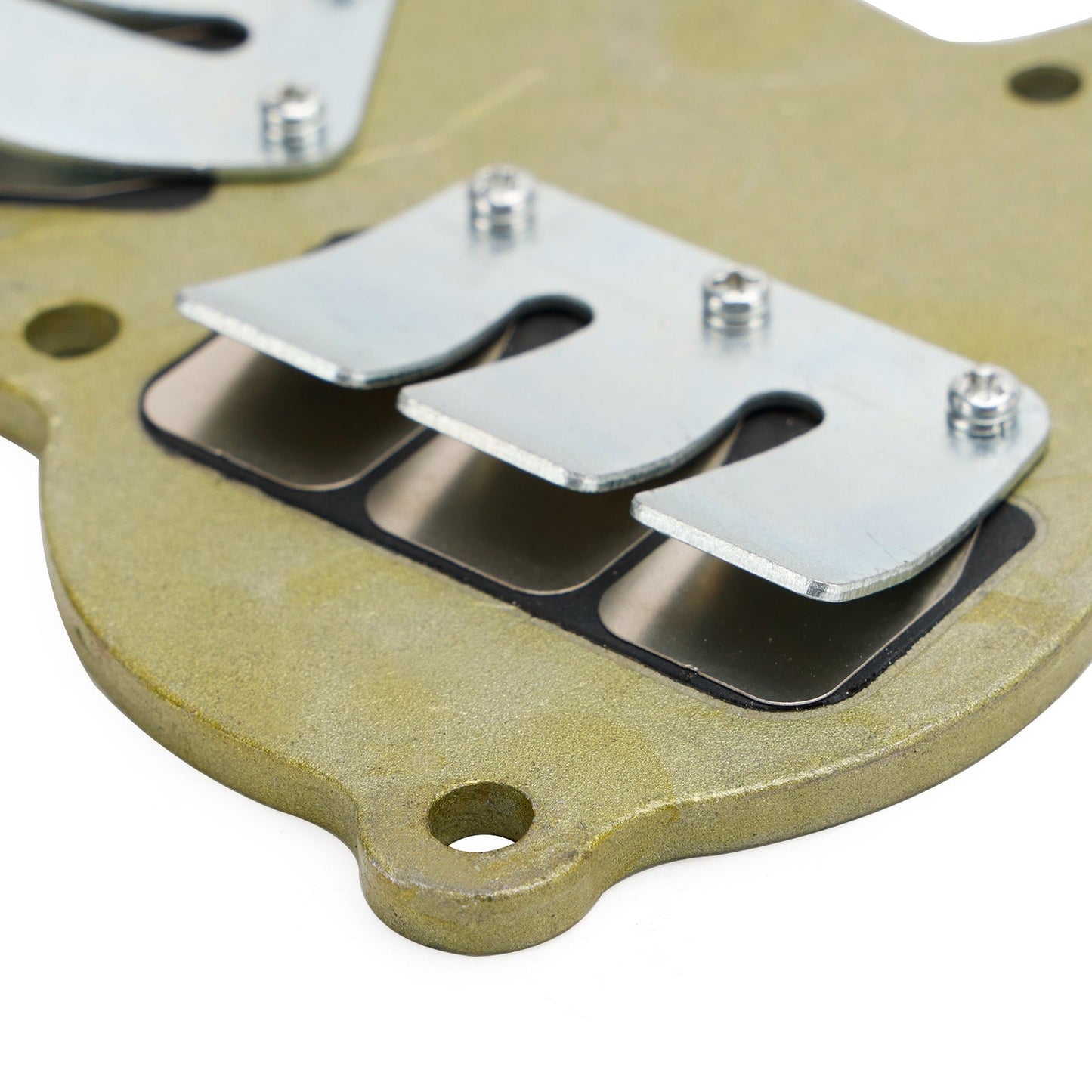 362-02100-1 Conjunto de válvula de láminas para motor fueraborda Tohatsu NS9.9 NS15 NS18 M9.9 M15 M18