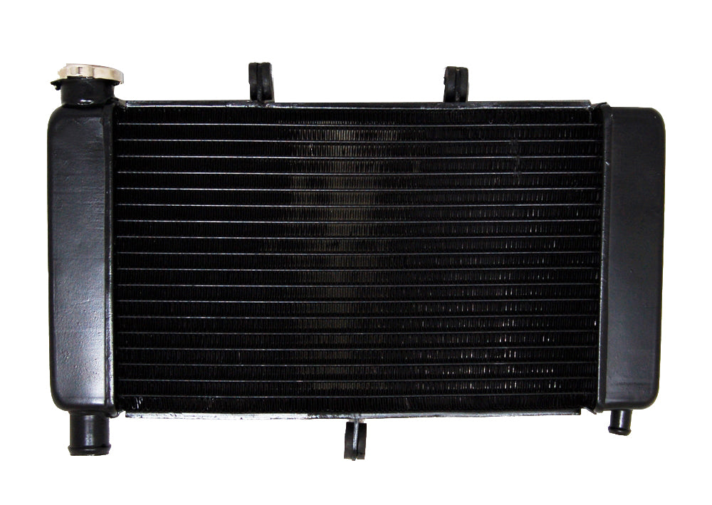 Grille de protection de radiateur pour Yamaha FZ6 2004-2010, noire