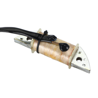 00-01 Yamaha 15HP 15F MCS/L Charge Coil 63V-85520-00-00 63V-85520-01-00 Champoo