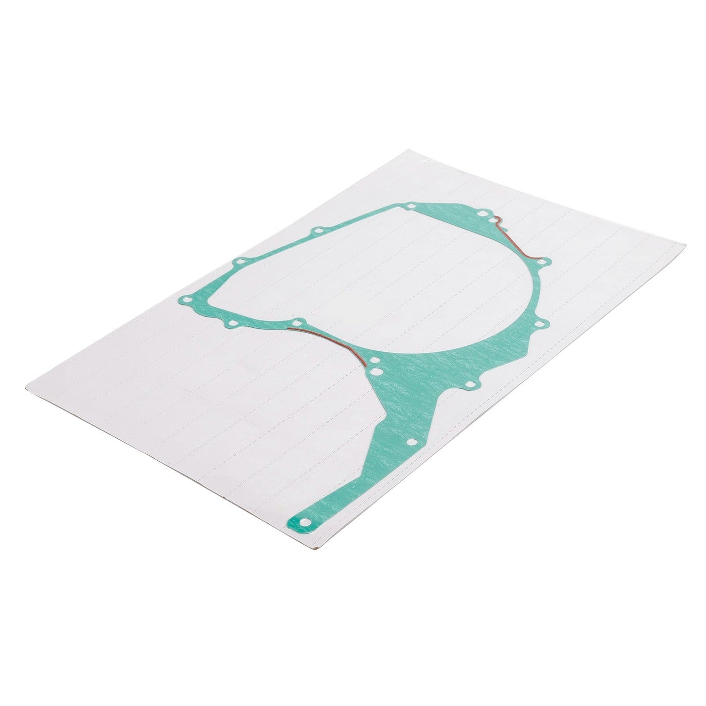 2002-13 Yamaha TDM 900 TDM900A RN08 RN11 RN18 Left Stator Cover Gasket