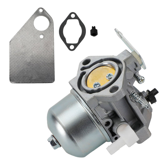 Carburateur Briggs &amp; Stratton 799728 498027 495706 494502 494392