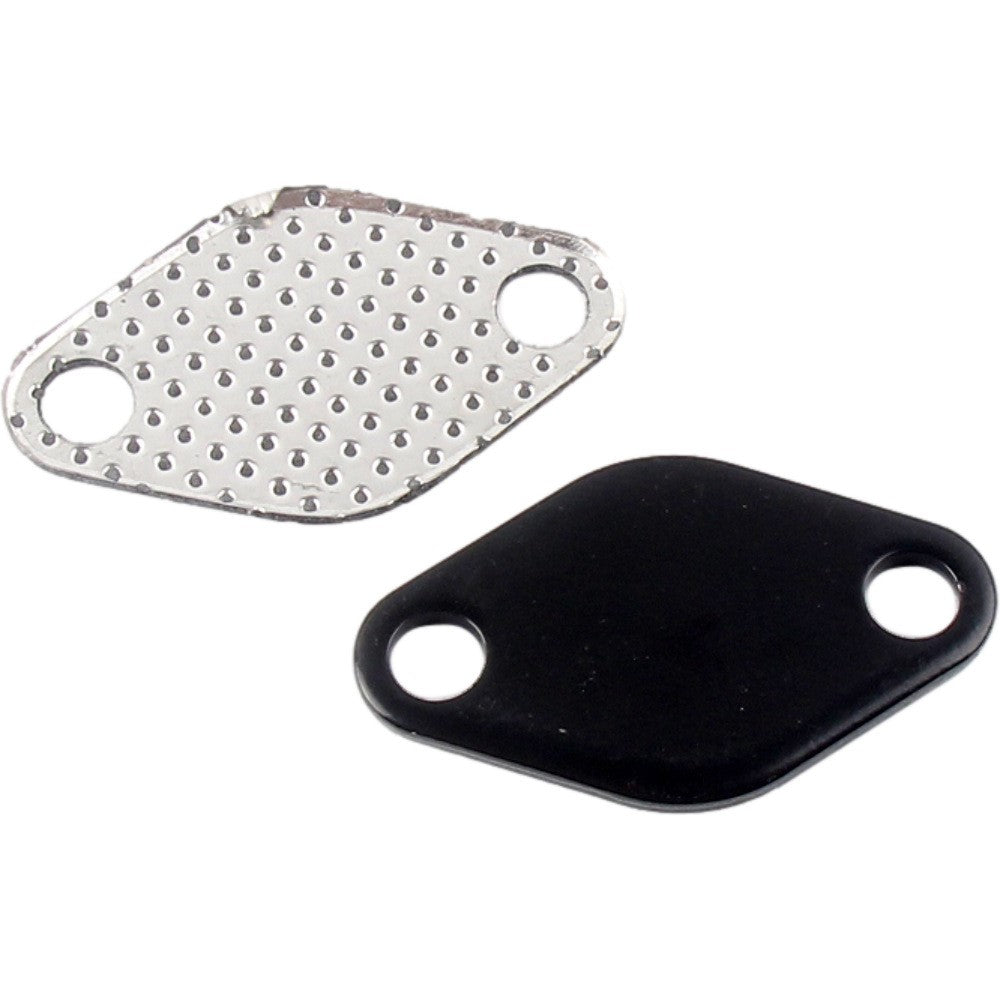 BMW E46 318d 320d 330d 330xd 320cd 318td 320td EGR Valve Blind Plate