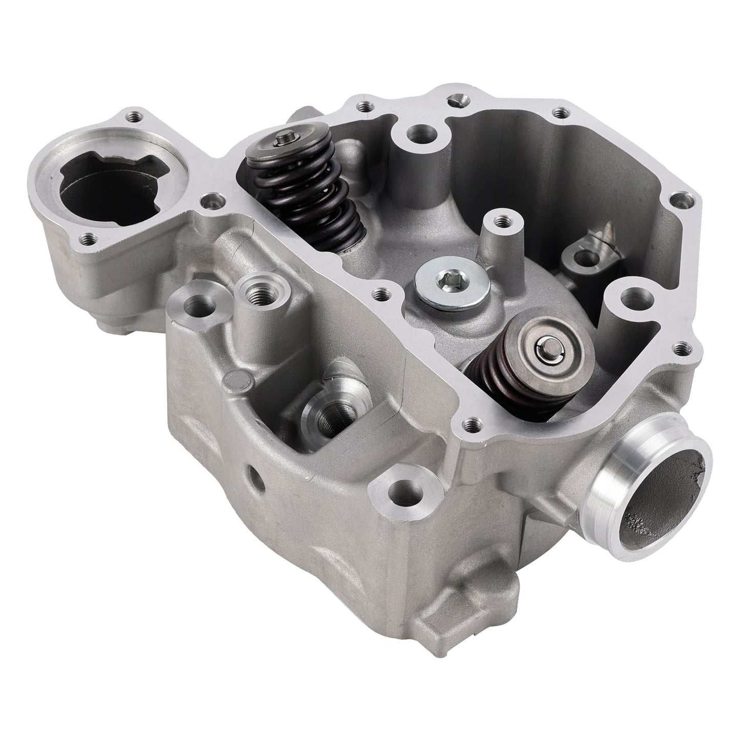 2009-2024 Honda TRX420 TRX500 SXS500 Cylinder Head Valves Kit 12200-HP7-A01