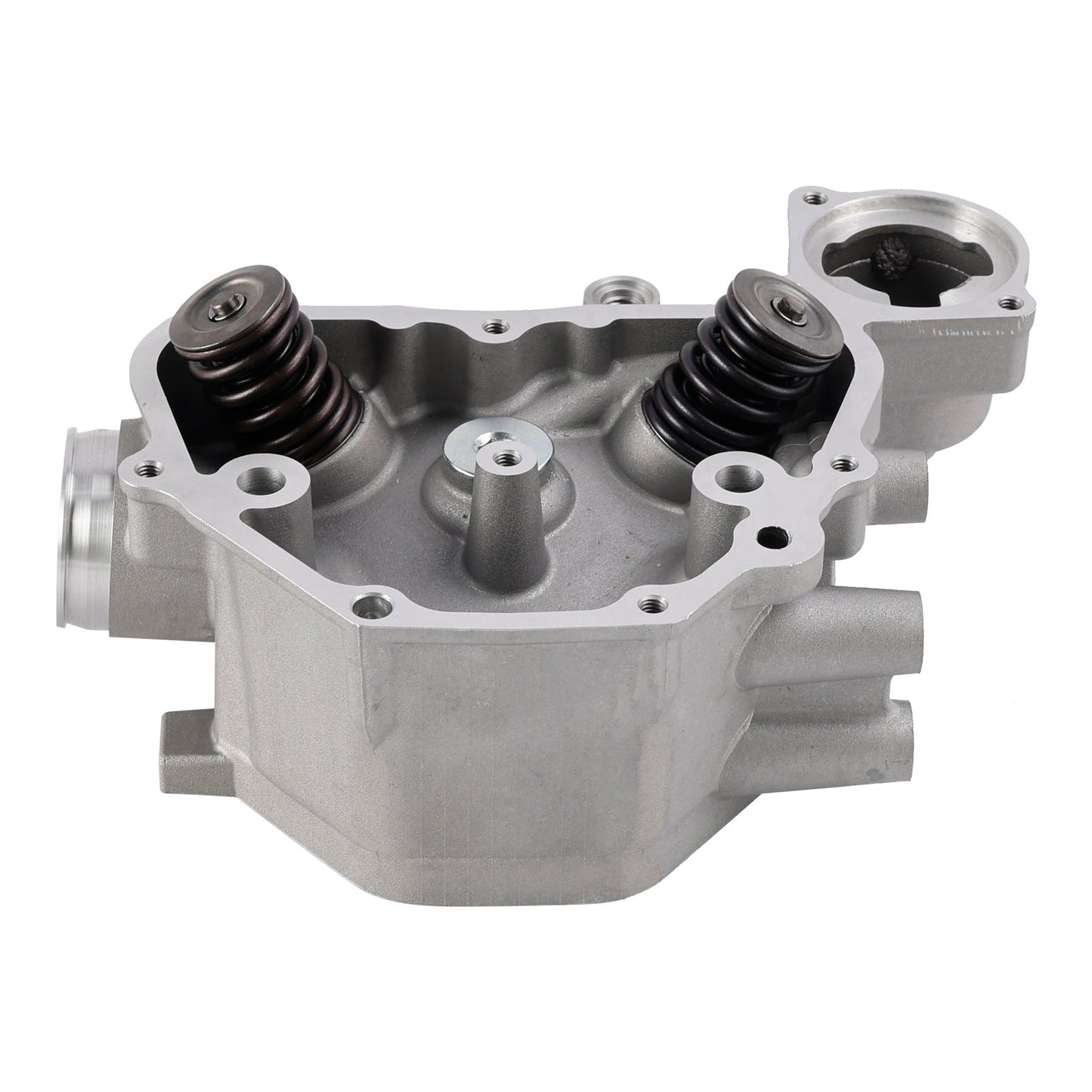 2009-2024 Honda TRX420 TRX500 SXS500 Cylinder Head Valves Kit 12200-HP7-A01