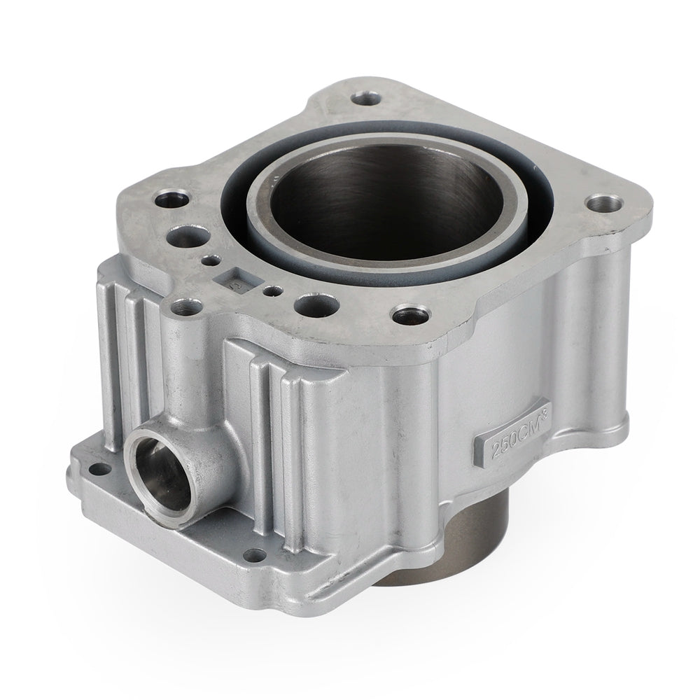 Kit de cilindro de 67 mm refrigerado por agua Zongshen CG250 250cc ATV Dirt Bike TaoTao Roketa