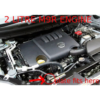 Trafic Vivaro Megane Laguna Safrane Scenic Latitude M9R  EGR Valve Blank Plate