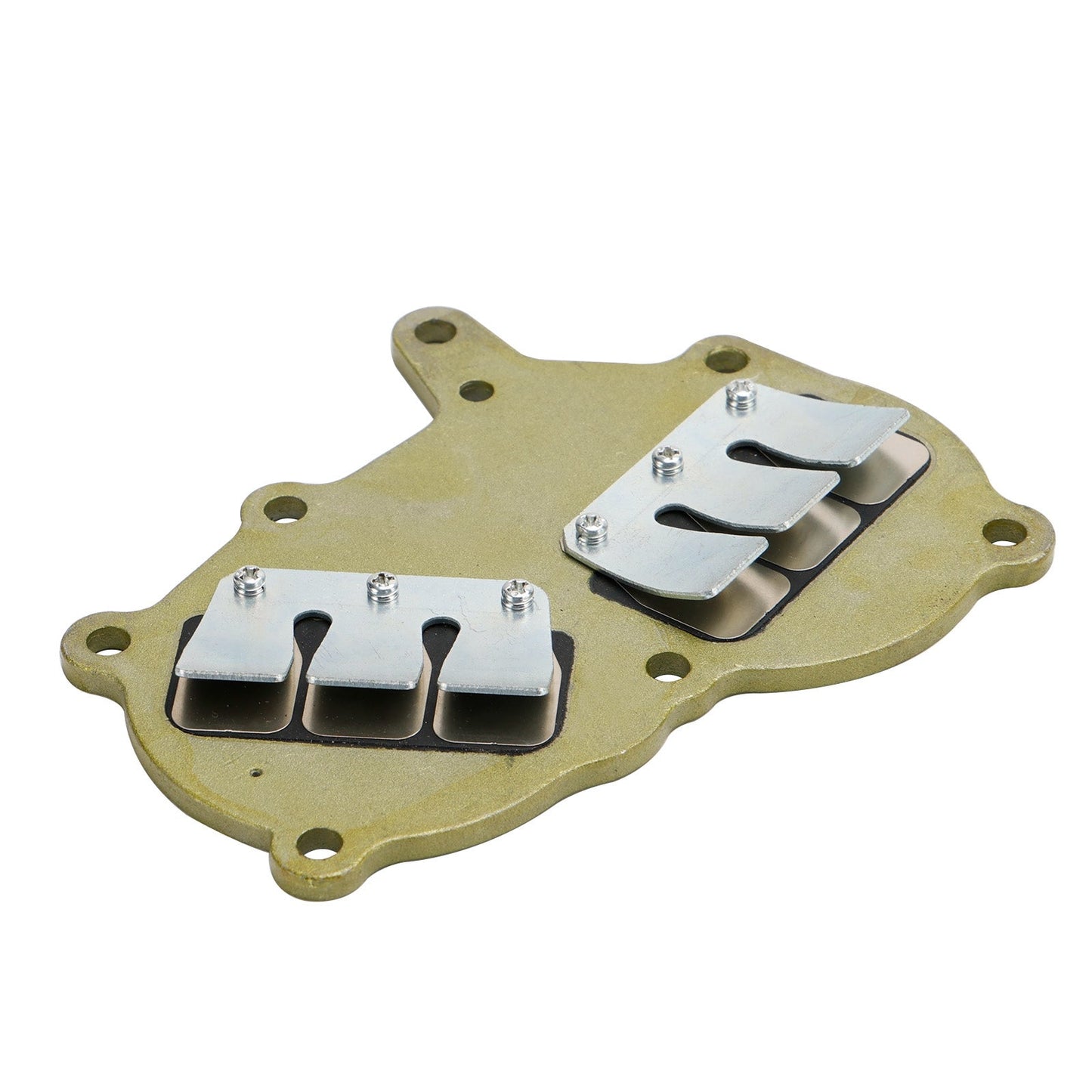 362-02100-1 Conjunto de válvula de láminas para motor fueraborda Tohatsu NS9.9 NS15 NS18 M9.9 M15 M18