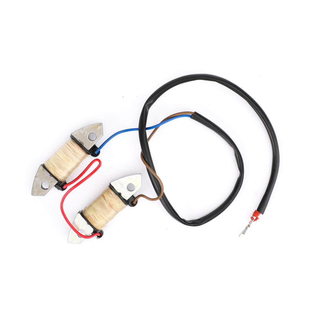 Conjunto de bobina de carga 66T-85520-00-00 para Yamaha 40 HP 40X E40X 1998-2017 