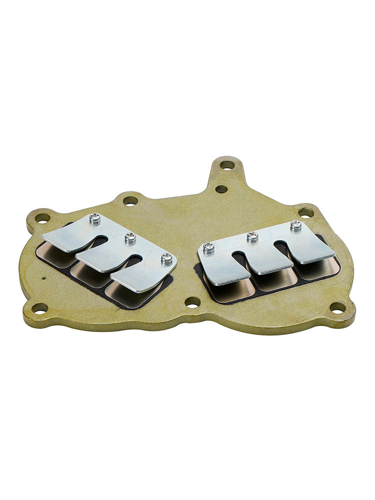 362-02100-1 Conjunto de válvula de láminas para motor fueraborda Tohatsu NS9.9 NS15 NS18 M9.9 M15 M18