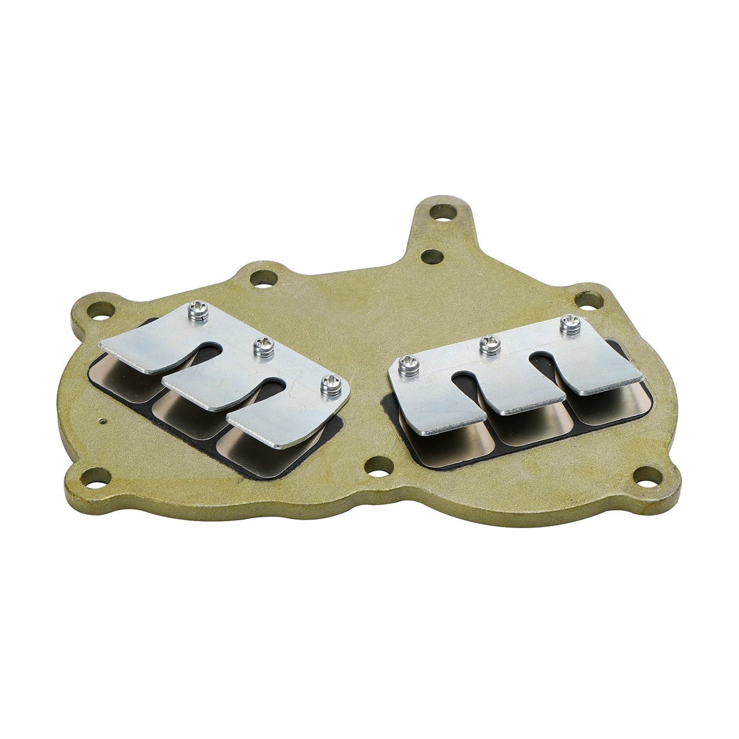 362-02100-1 Conjunto de válvula de láminas para motor fueraborda Tohatsu NS9.9 NS15 NS18 M9.9 M15 M18