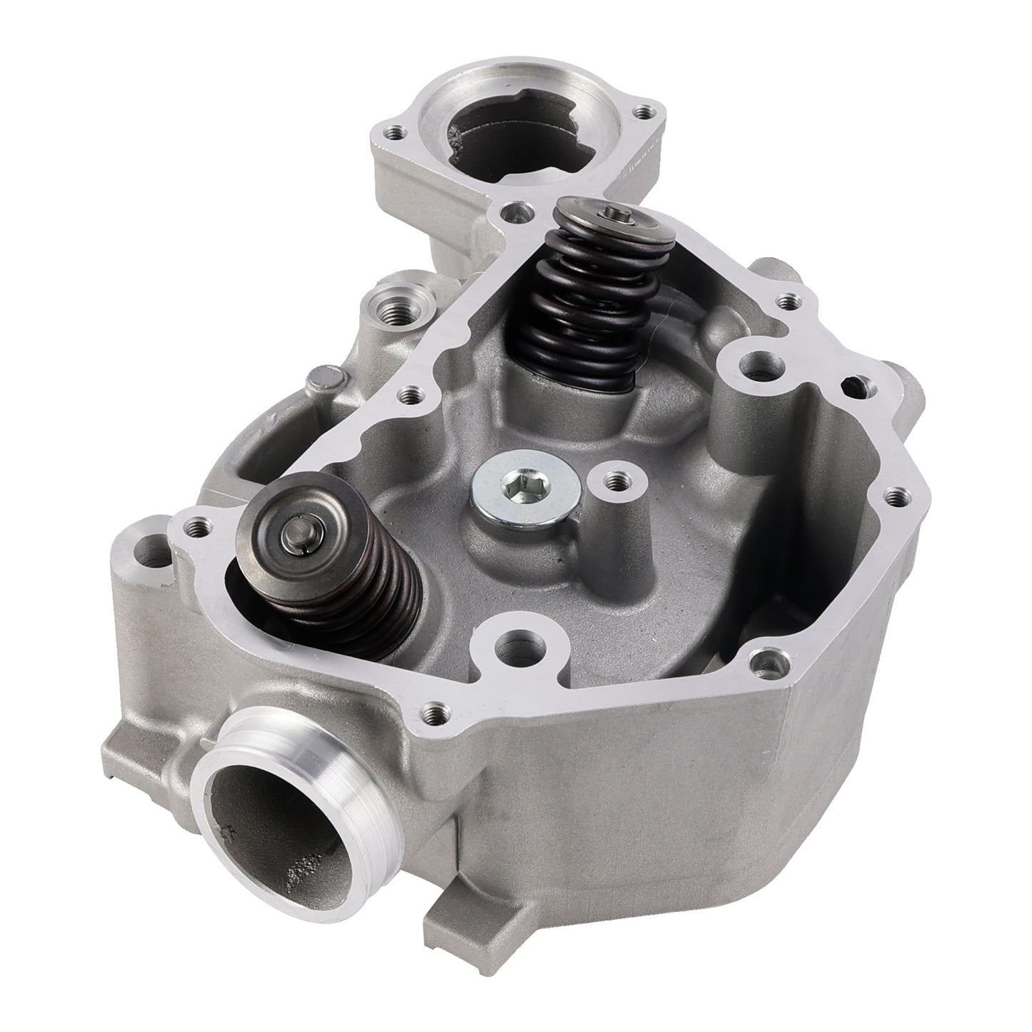 2009-2024 Honda TRX420 TRX500 SXS500 Cylinder Head Valves Kit 12200-HP7-A01