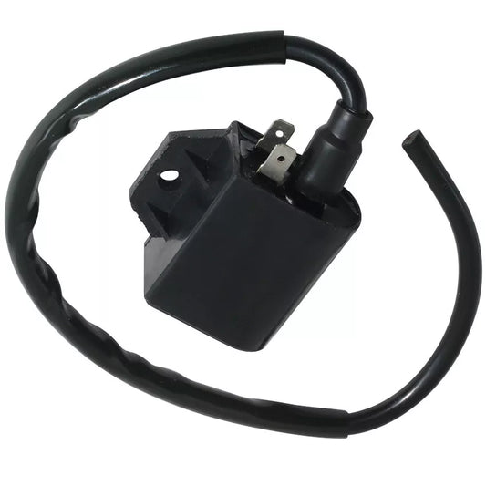 2007 Suzuki AN125 Burgman 33410-20E01 CDI BOX Igniter