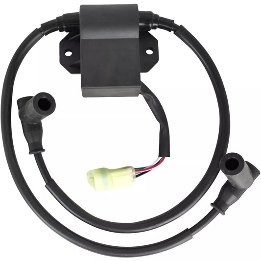 Boîtier d'allumage CDI pour Ski-Doo Skandic 380 500 Safari Formula SL 420965756 420965757 420965591